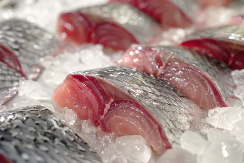 生物食品美食魚片圖片攝影圖 廣告素材 下載至來(lái)源處